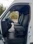 Renault Master T33 2.3 dci 135 cv L2H2 Blanco - thumbnail 12