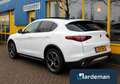 Alfa Romeo Stelvio 2.0 T AWD 280PK Panorama Veloce stoelen Blanc - thumbnail 6