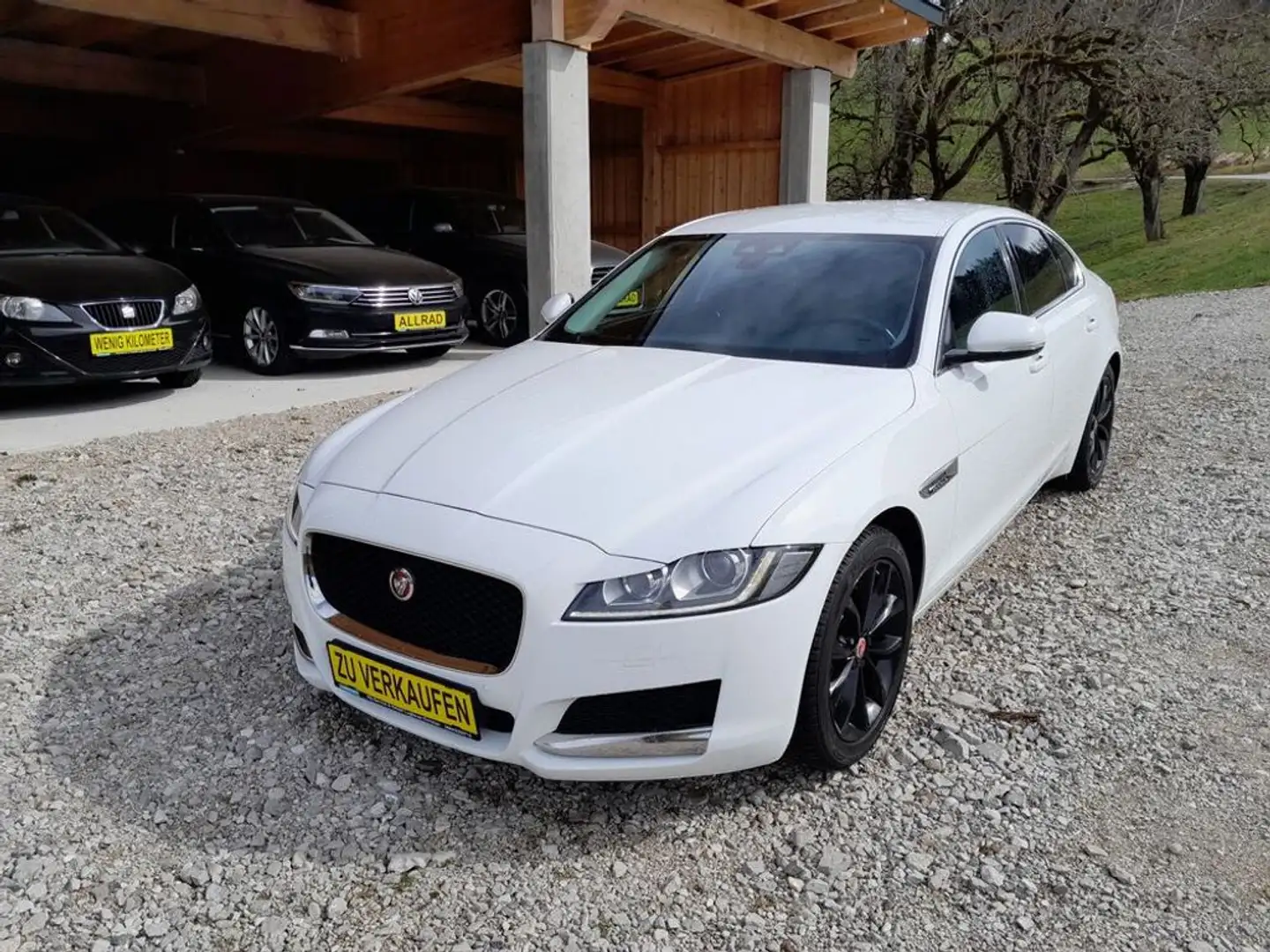 Jaguar XF Prestige Finanzierung ohne Anzahlung möglich Blanc - 1