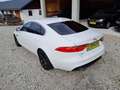 Jaguar XF Prestige    Finanzierung ohne Anzahlung möglich Blanc - thumbnail 6