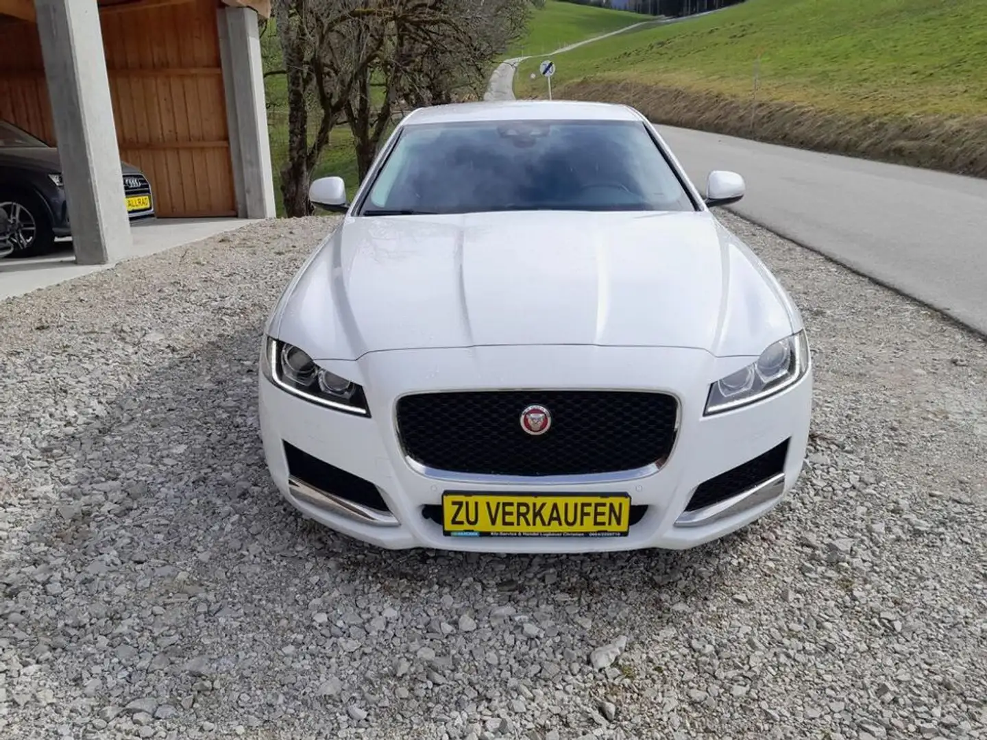 Jaguar XF Prestige    Finanzierung ohne Anzahlung möglich Weiß - 2