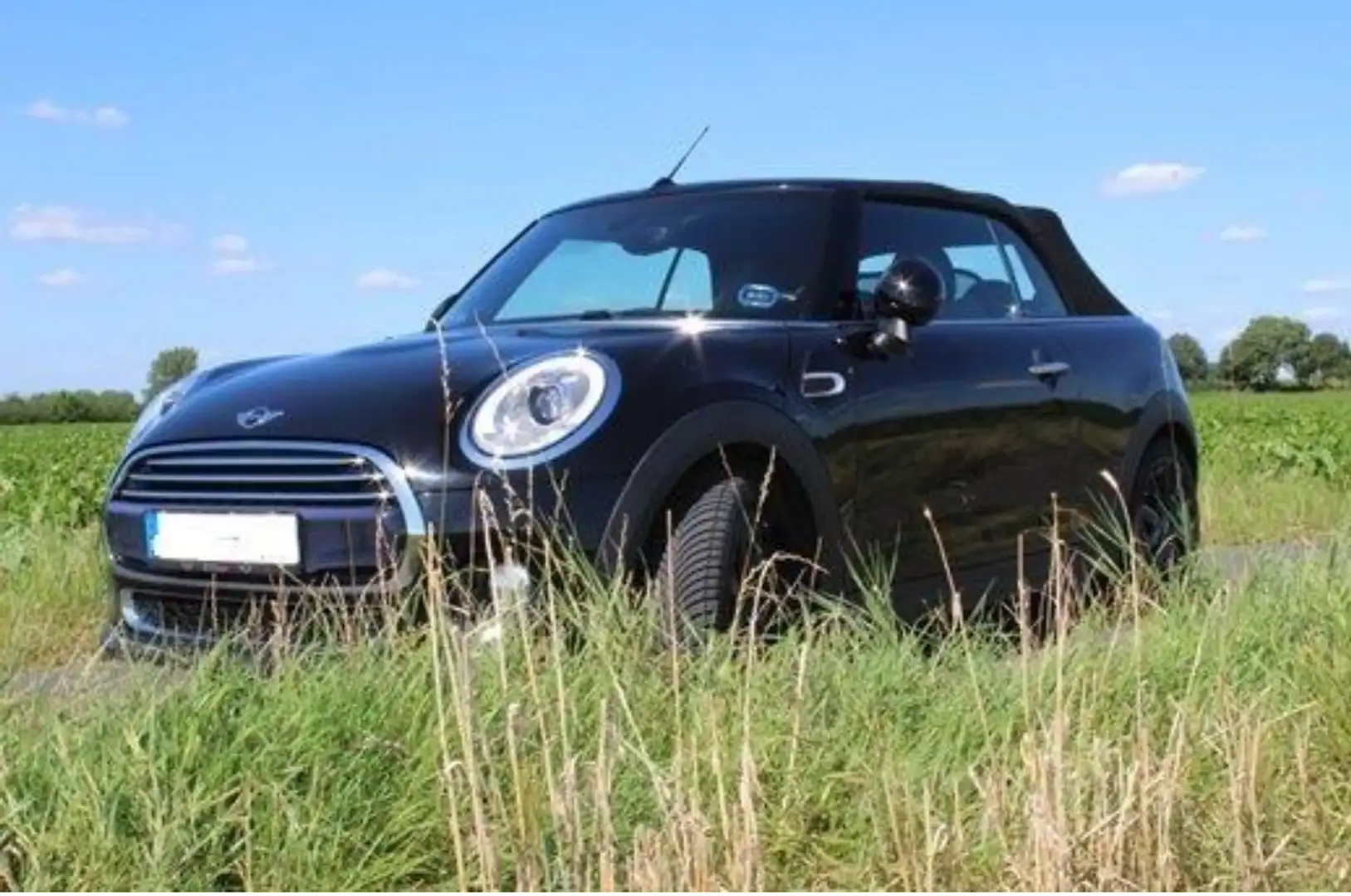 MINI Cooper Cabrio Highgate - 1