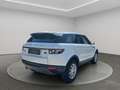 Land Rover Range Rover Evoque Pure*2 Hand* Weiß - thumbnail 6