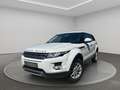 Land Rover Range Rover Evoque Pure*2 Hand* Weiß - thumbnail 1
