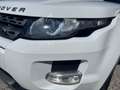 Land Rover Range Rover Evoque Pure*2 Hand* Weiß - thumbnail 20