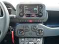 Fiat Panda HYBRID 1.0 GSE 70PS E6D FINAL RADIO Rojo - thumbnail 19