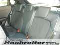 Ford Puma ST X, 8-fach bereift Grün - thumbnail 15