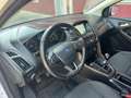 Ford Focus 2.0 TDCI Turnier Business Navi Kamera Weiß - thumbnail 8