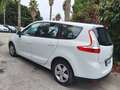 Renault Scenic Scenic III 2009 1.5 dci Dynamique c/TomTom Bianco - thumbnail 4