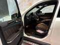 Mercedes-Benz GLS 63 AMG 4MATIC 5,5 585PS *DIAMANT WEIß-EXCLUSIVE LEDER* Weiß - thumbnail 31
