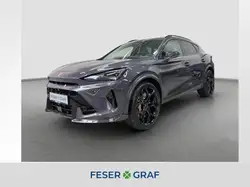 Cupra Formentor 2.5 TSI 4Drive VZ5|Matrix|360*|Extrem