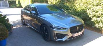 2.0 T P250 R-Dynamic S