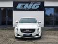 Cadillac ATS Coupe 2.0 T Luxury|RECARO|BI-XENON|NAVI|MEMORY Weiß - thumbnail 2