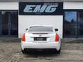 Cadillac ATS Coupe 2.0 T Luxury|RECARO|BI-XENON|NAVI|MEMORY Weiß - thumbnail 5