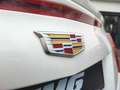 Cadillac ATS Coupe 2.0 T Luxury|RECARO|BI-XENON|NAVI|MEMORY Weiß - thumbnail 34