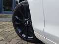 Cadillac ATS Coupe 2.0 T Luxury|RECARO|BI-XENON|NAVI|MEMORY Weiß - thumbnail 33