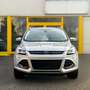 Ford Kuga Titanium/4X4/1. Hd/Zahnriemen neu/AHK Silber - thumbnail 2