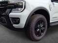 Ford Ranger Stormtrak PHEV 207kW 10-G-Aut. 4-türig Grau - thumbnail 5