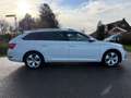 Skoda Superb Combi 1.5 TSI ACT Business Edition / Automaat / Na Wit - thumbnail 4