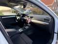 Skoda Superb Combi 1.5 TSI ACT Business Edition / Automaat / Na Wit - thumbnail 26