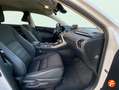 Lexus NX 300 300h Business 2WD Blanco - thumbnail 14
