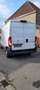 Peugeot Boxer Zeer proper ,Eu6 ,L3H2 ,49500 km !Airco ,camera Blanc - thumbnail 5