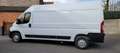 Peugeot Boxer Zeer proper ,Eu6 ,L3H2 ,49500 km !Airco ,camera Blanc - thumbnail 4