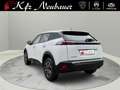Peugeot 2008 100PS 1.2 PureTech Weiß - thumbnail 3