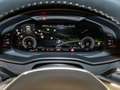 Audi A6 50 TFSI e quat. Standklimat. Holz Birke Grau - thumbnail 18
