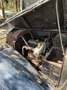 Lancia Sonstige Artena - thumbnail 9