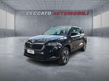 Karoq 2.0 tdi evo Executive 115cv dsg