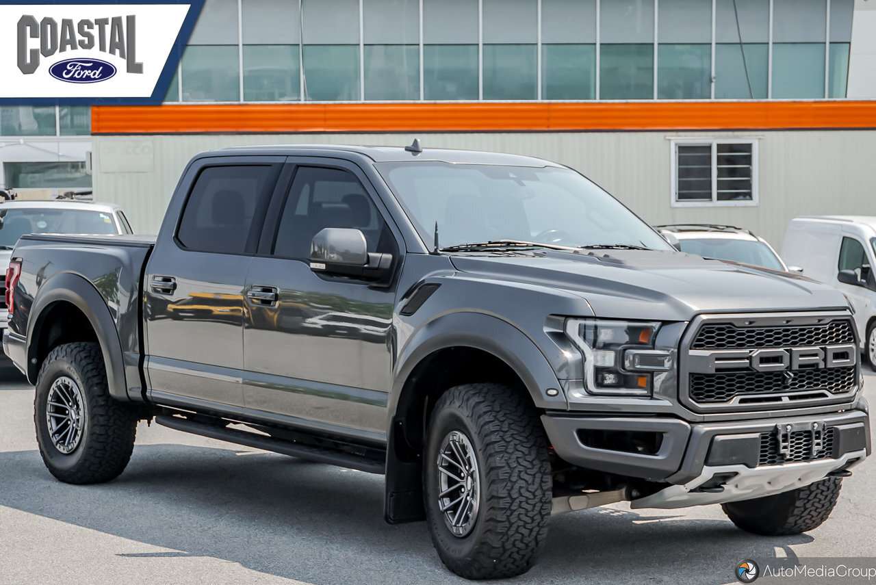 2019 Ford F-150 RAPTOR 802A PACKAGE | TWIN PANEL MOONROOF | RAPTOR — снимка 1