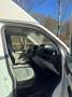 Volkswagen T6 Transporter Transporter 2.0 TDI  4Motion Wit - thumbnail 8