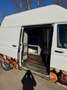 Volkswagen T6 Transporter Transporter 2.0 TDI  4Motion Wit - thumbnail 17