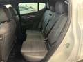 Alfa Romeo Tonale 1.6 diesel 130 CV TCT6 Veloce Bianco - thumbnail 11