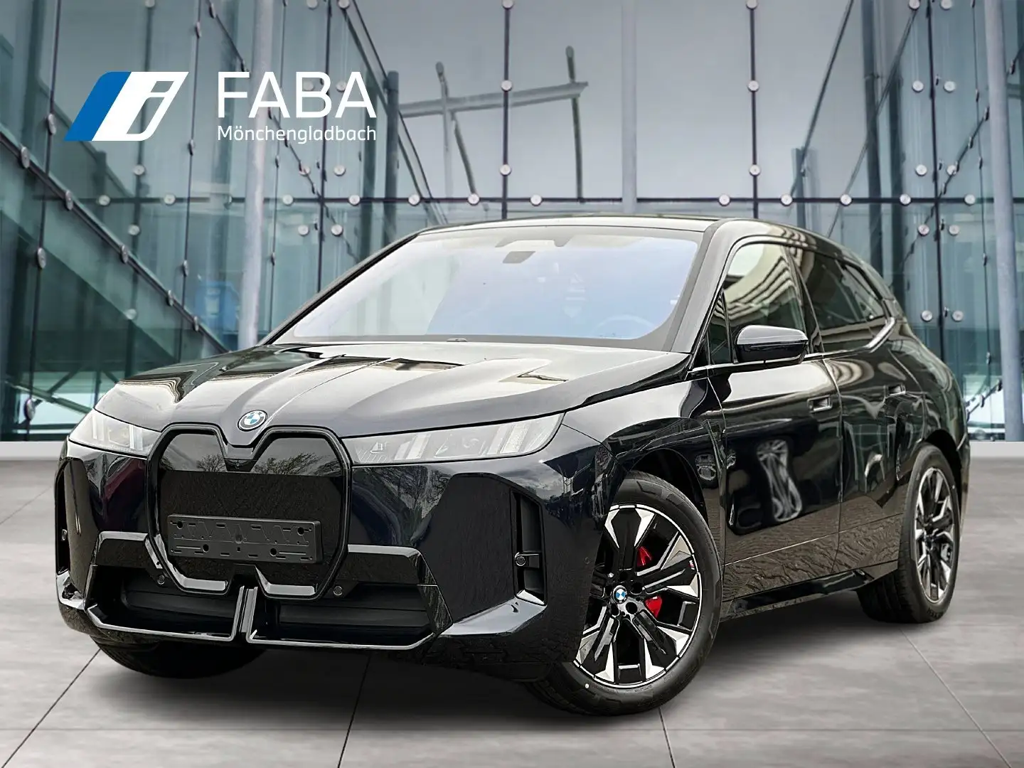 BMW iX xDrive45 M Sportpaket HK HiFi DAB LED RFK Schwarz - 1
