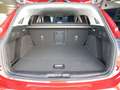 Ford Focus Turnier 1,0 EcoBoost Hybrid Active X Rot - thumbnail 25