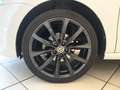Volkswagen Polo 1.0 MPI 75CV Comfortile 5p Bluetooth NEOPATENTATI Bianco - thumbnail 15