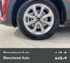 Kia Stonic 1.0 T-GDi 100 CV MHEV MT Urban Special Edition - thumbnail 10