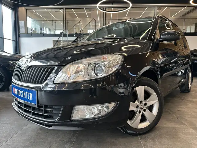 Skoda Roomster view 15