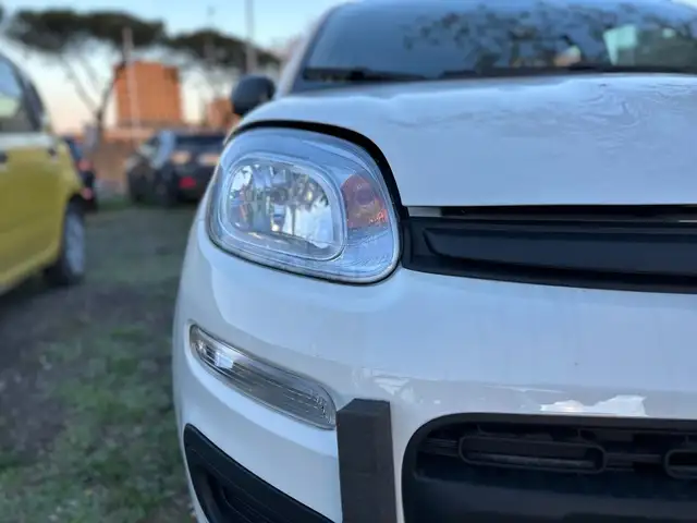 Fiat Panda view 12