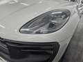 Porsche Macan GTS Aut. Gris - thumbnail 6