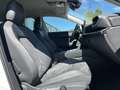 SEAT Leon SP 2.0 TDI DSG Style 144€ m. 20% Anzahlung AHK D Weiß - thumbnail 13