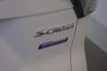 Suzuki SX4 S-Cross 1.4 GL ALLGRIP HYBRID Bianco - thumbnail 5