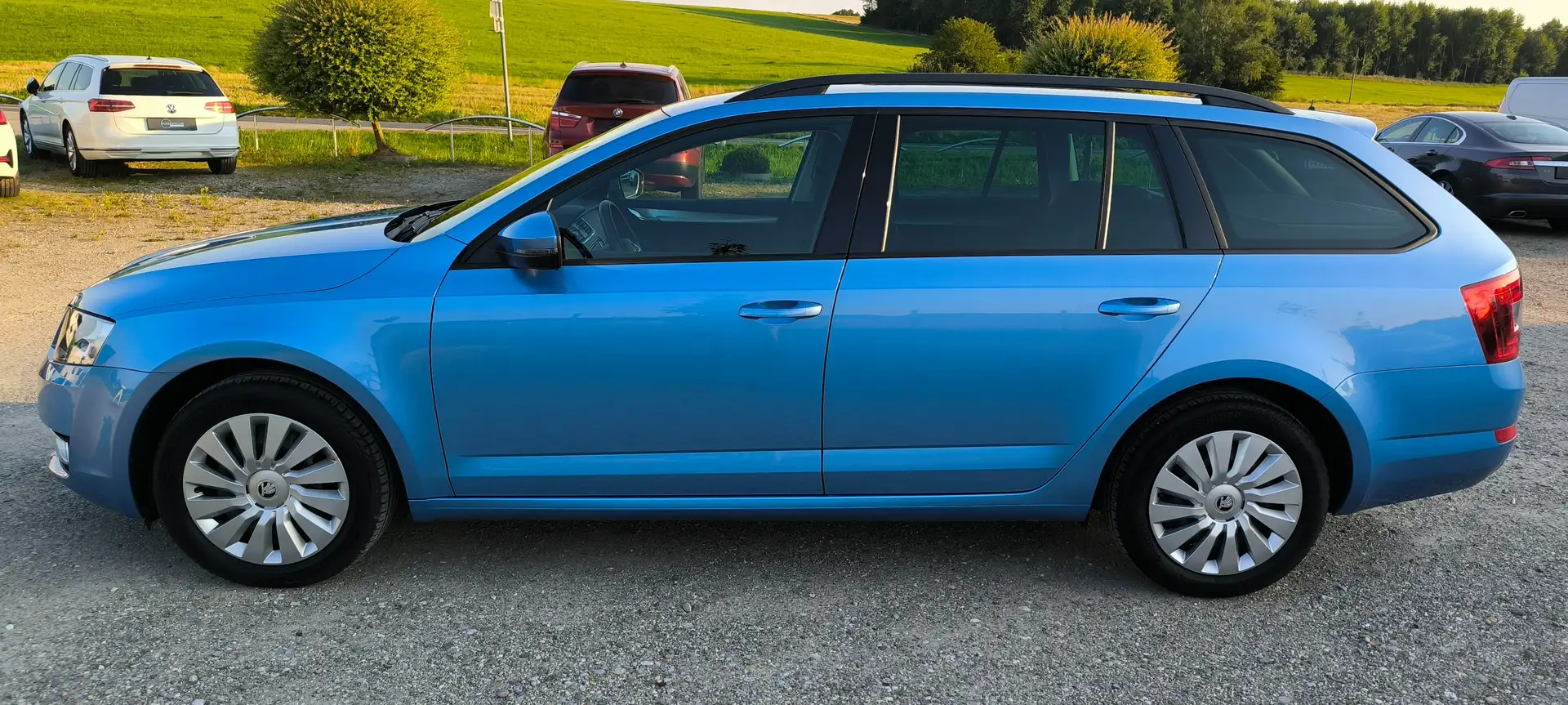 Skoda Octavia Ambition Bleu - 2