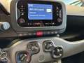 Fiat Panda 1.0 FireFly S&S Hybrid - PREZZO SENZA FINANZIAMENT Bianco - thumbnail 11