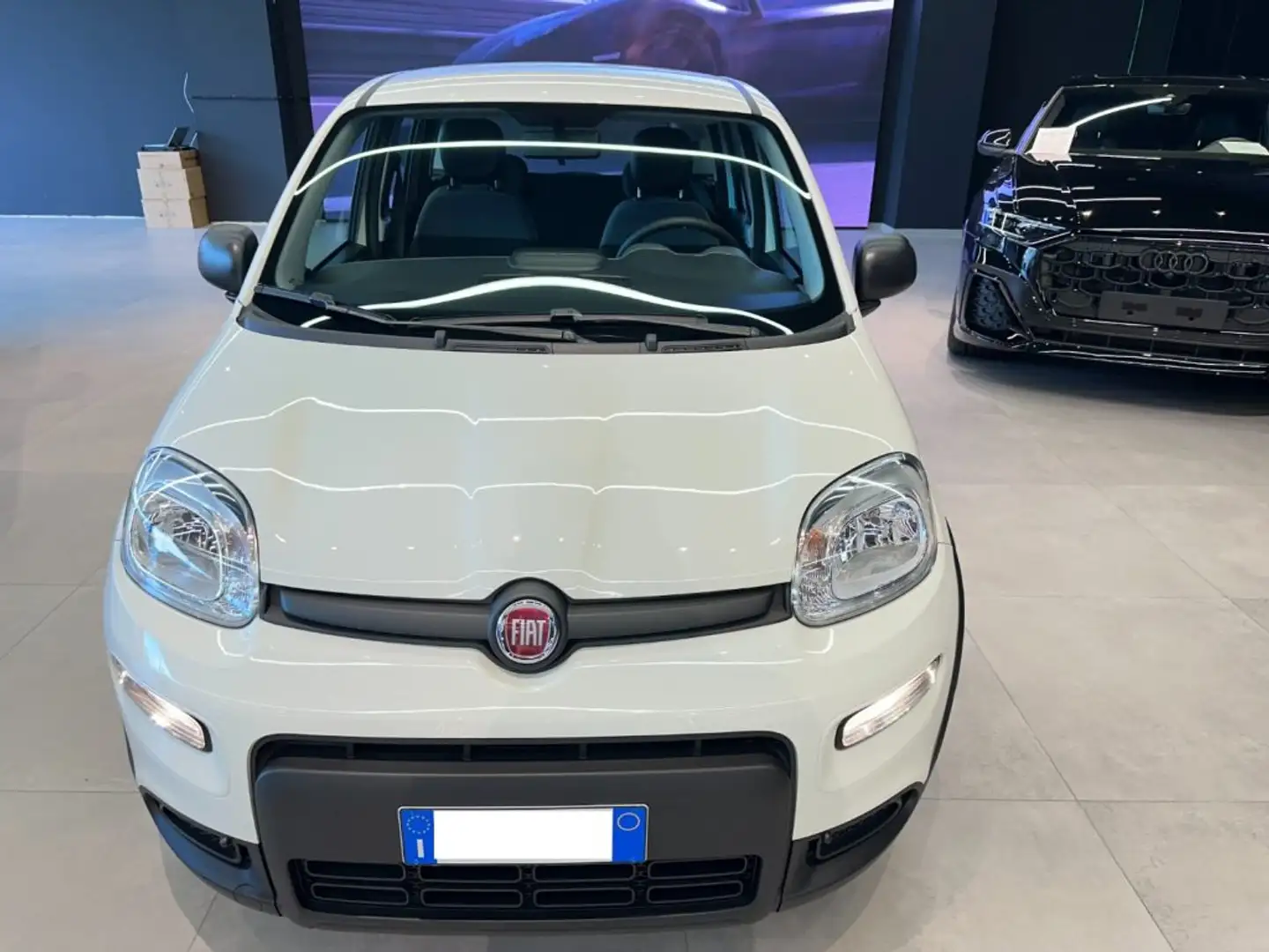 Fiat Panda 1.0 FireFly S&S Hybrid - PREZZO SENZA FINANZIAMENT Bianco - 2