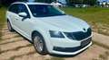 Skoda Octavia Combi Ambition Blanco - thumbnail 2