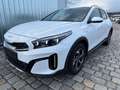 Kia XCeed City MY26 1.0 T-GDI  115 PS -6 Gang-Navi-SHZ-be... Weiß - thumbnail 1