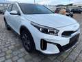 Kia XCeed City MY26 1.0 T-GDI  115 PS -6 Gang-Navi-SHZ-be... Weiß - thumbnail 3